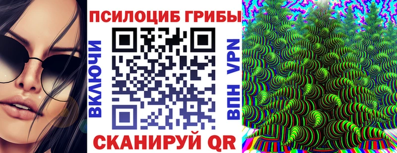 Псилоцибиновые грибы Psilocybine cubensis  где продают наркотики  Динская 
